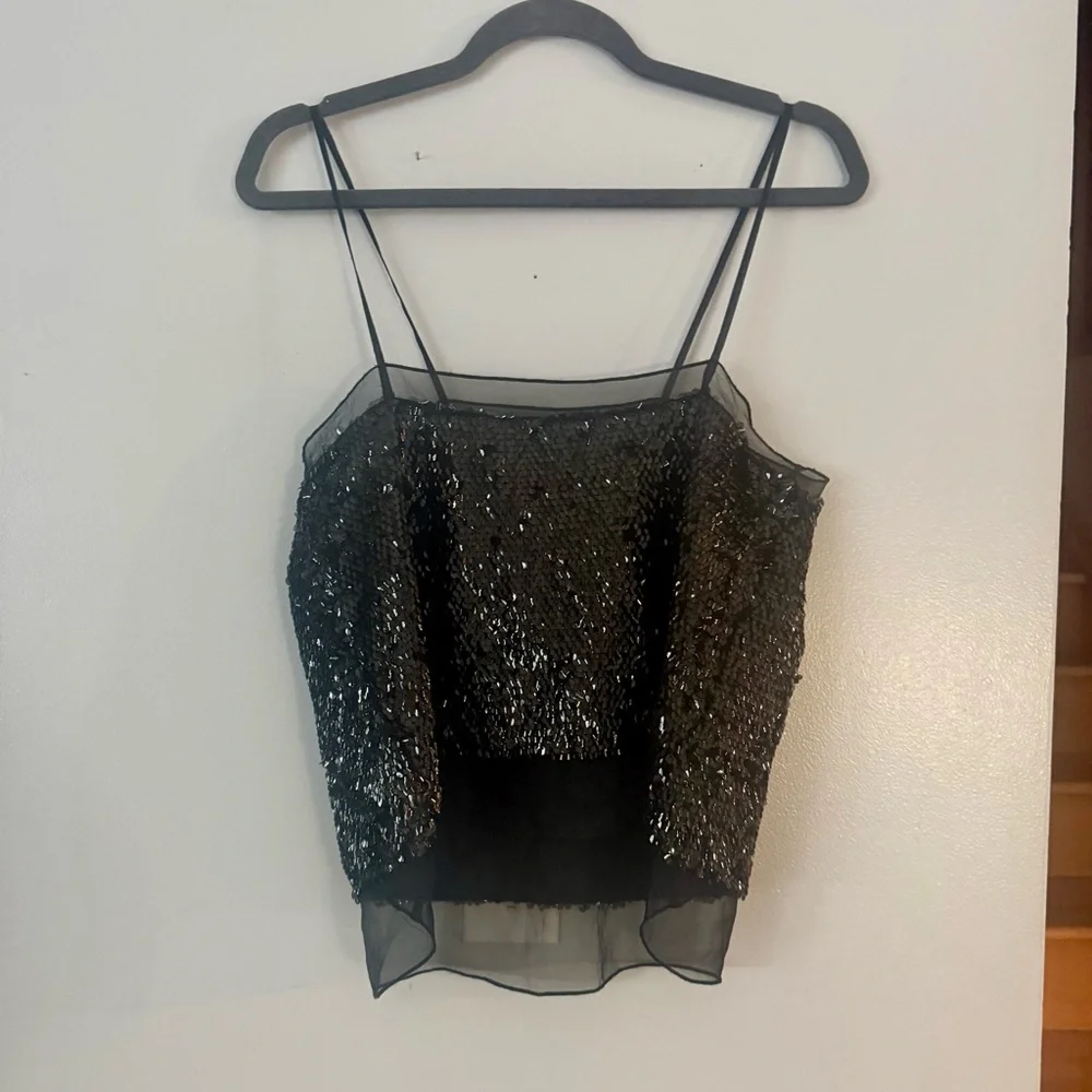 NWOT Sexy Zara Party Sequin Mesh Crop Top - Picture 3 of 5